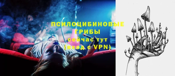 2c-b Горно-Алтайск