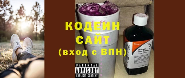 2c-b Горно-Алтайск