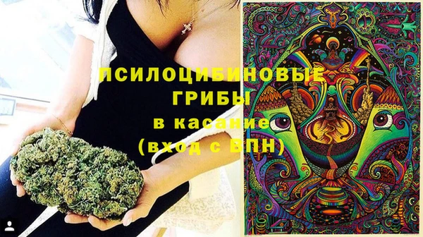 СК Вязьма