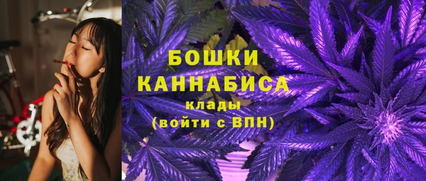 2c-b Горно-Алтайск