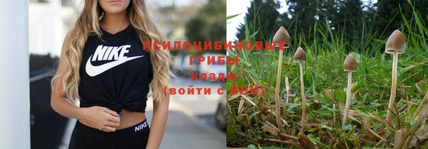 меф Горнозаводск